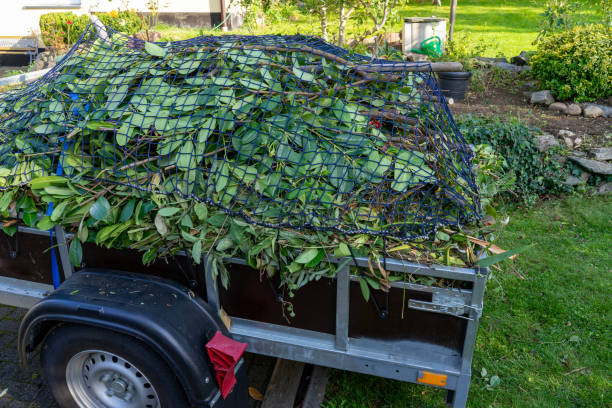 Trusted Gleason, TN Junk Removal Services Experts